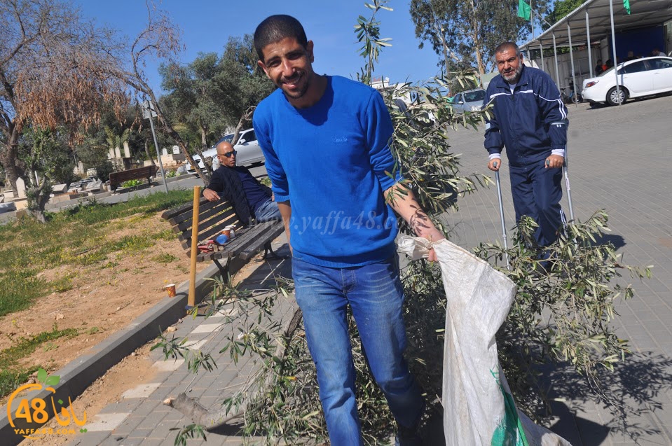 tasohamlalanjna (44).jpg